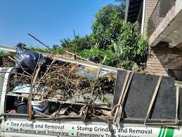 Best Property Management Cleanouts  in Franklin, LA