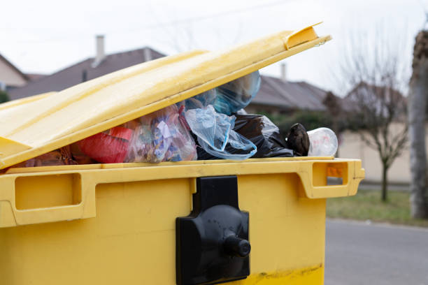 Same-Day Junk Removal Services in Franklin, LA
